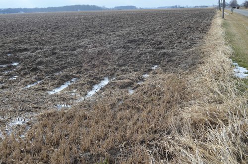 Property photo 2 - East Allen County Land Auction - 40 Acres in 2 Tracts